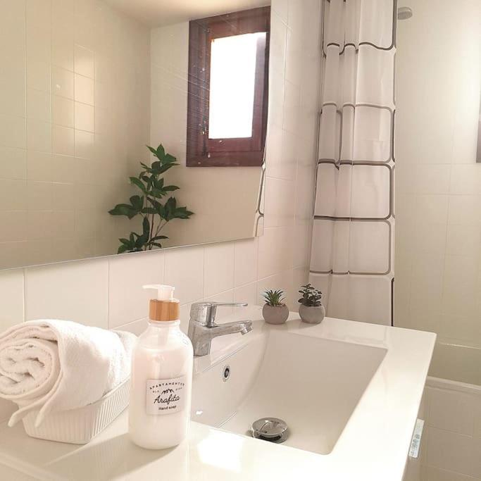 Pico Erata, Wifi Y Renovado - Arafita * Biescas (Aragon)